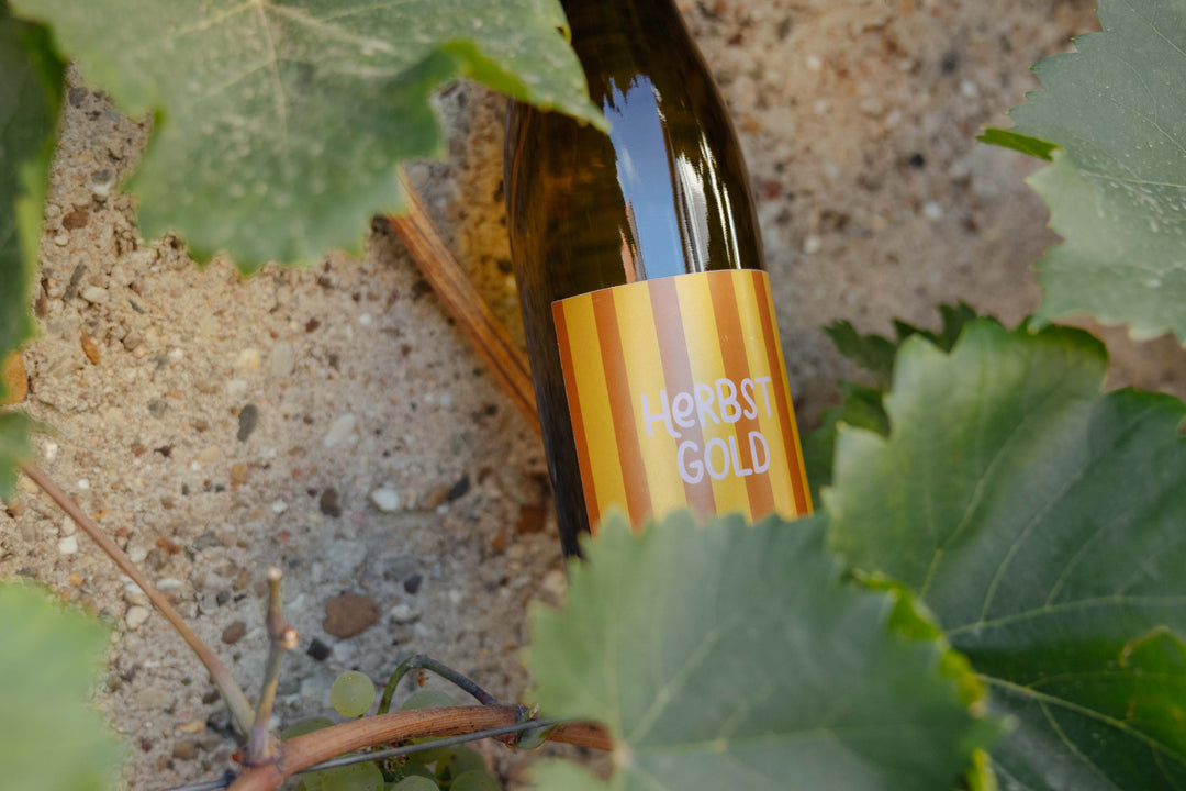 DIE WEINLESE LÄUFT