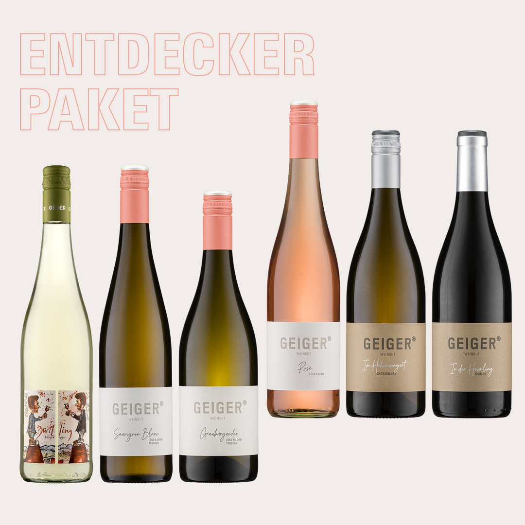 Entdecker-Weinpaket zum Kennenlernen | 6 Weine vom Winzer aus der Pfalz