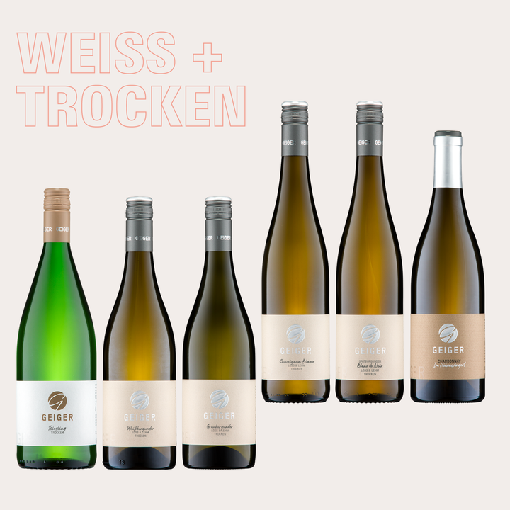 WEINPAKET: Weiß & Trocken